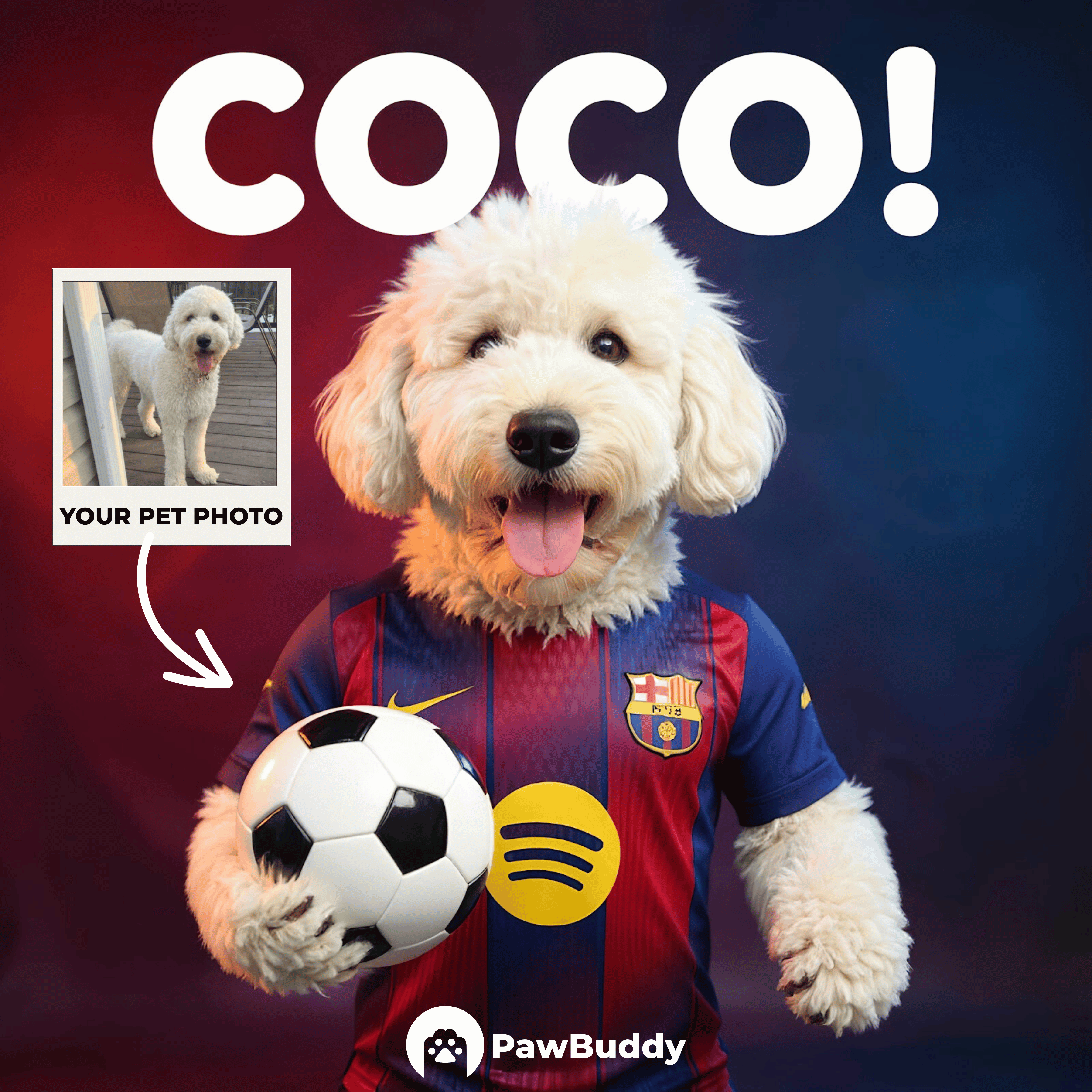 Custom Pet Portrait Catalan Pride Momentum Soccer Style Digital Artwork – Personalized High-Resolution Artwork for Pet Lovers, Perfect for Online Sharing or as a Unique Sports-Themed Keepsake