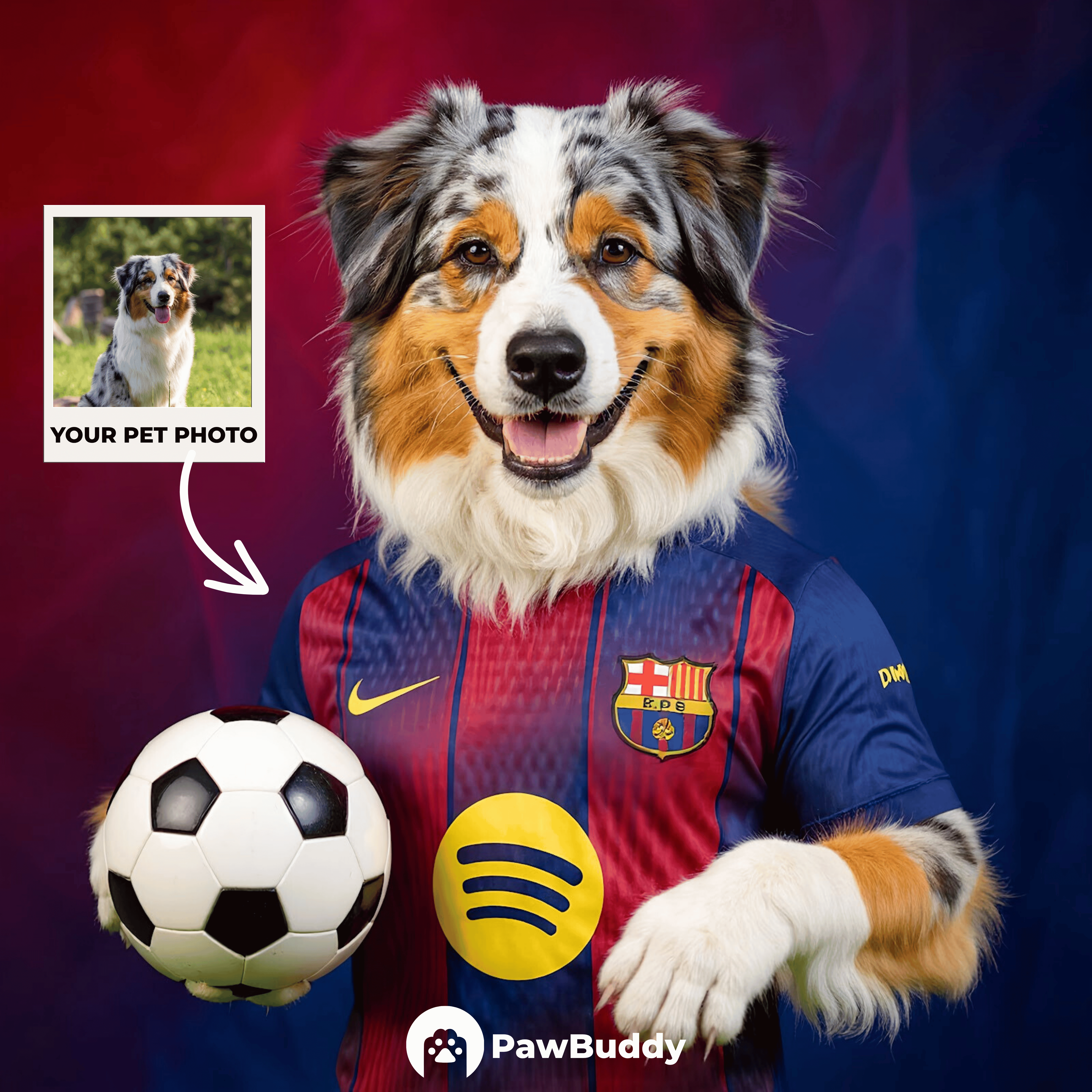 Custom Pet Portrait Catalan Pride Momentum Soccer Style Digital Artwork – Personalized High-Resolution Artwork for Pet Lovers, Perfect for Online Sharing or as a Unique Sports-Themed Keepsake