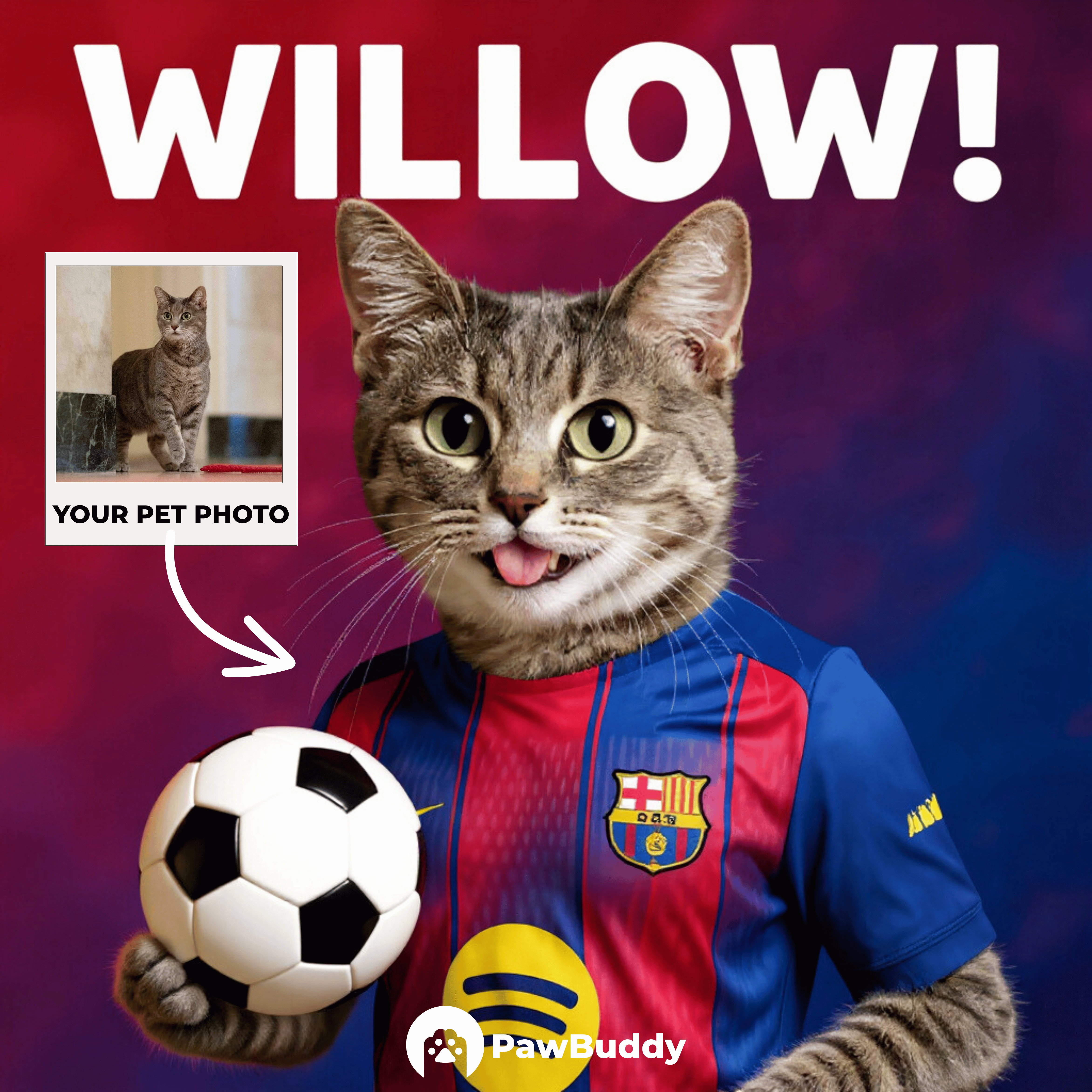 Custom Pet Portrait Catalan Pride Momentum Soccer Style Digital Artwork – Personalized High-Resolution Artwork for Pet Lovers, Perfect for Online Sharing or as a Unique Sports-Themed Keepsake