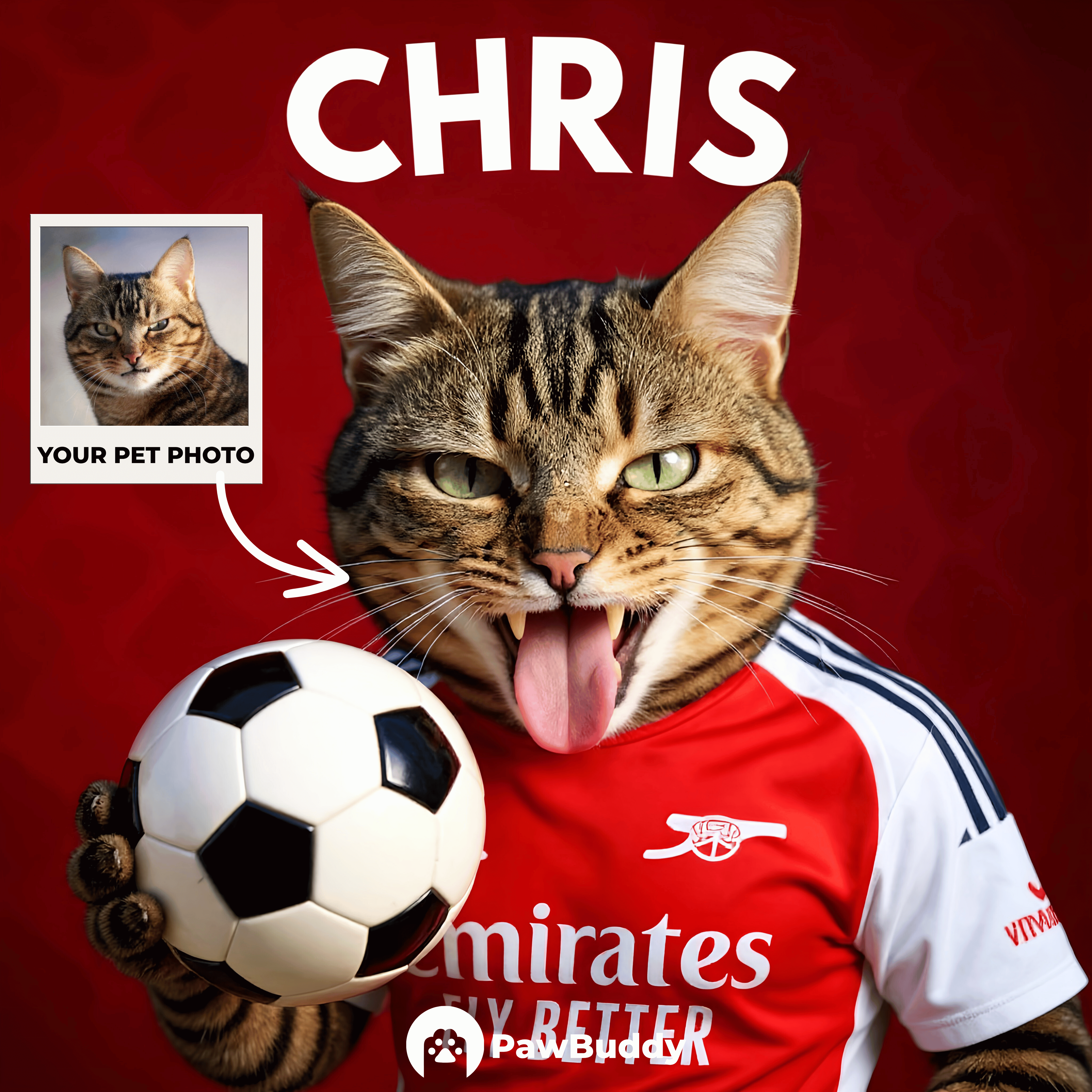 Custom Pet Portrait Crimson Velocity Soccer Style Digital Artwork – Personalized High-Resolution Artwork for Pet Lovers, Perfect for Online Sharing or as a Unique Sports-Themed Keepsake