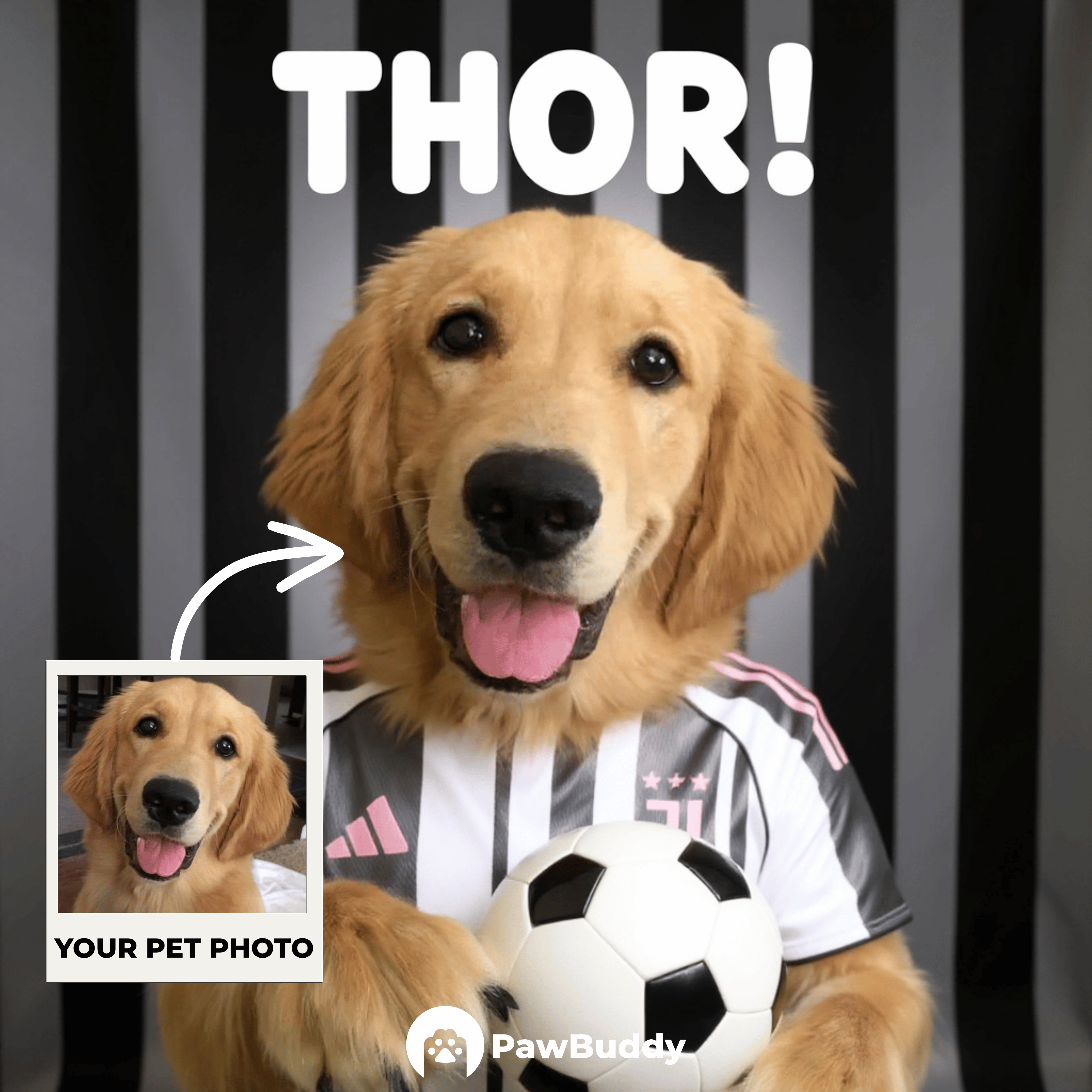 Custom Pet Portrait Monochrome Legacy Soccer Style Digital Artwork - Personalized High-Resolution Artwork for Pet Lovers, Perfect for Online Sharing or as a Unique Sports Themed Keepsake