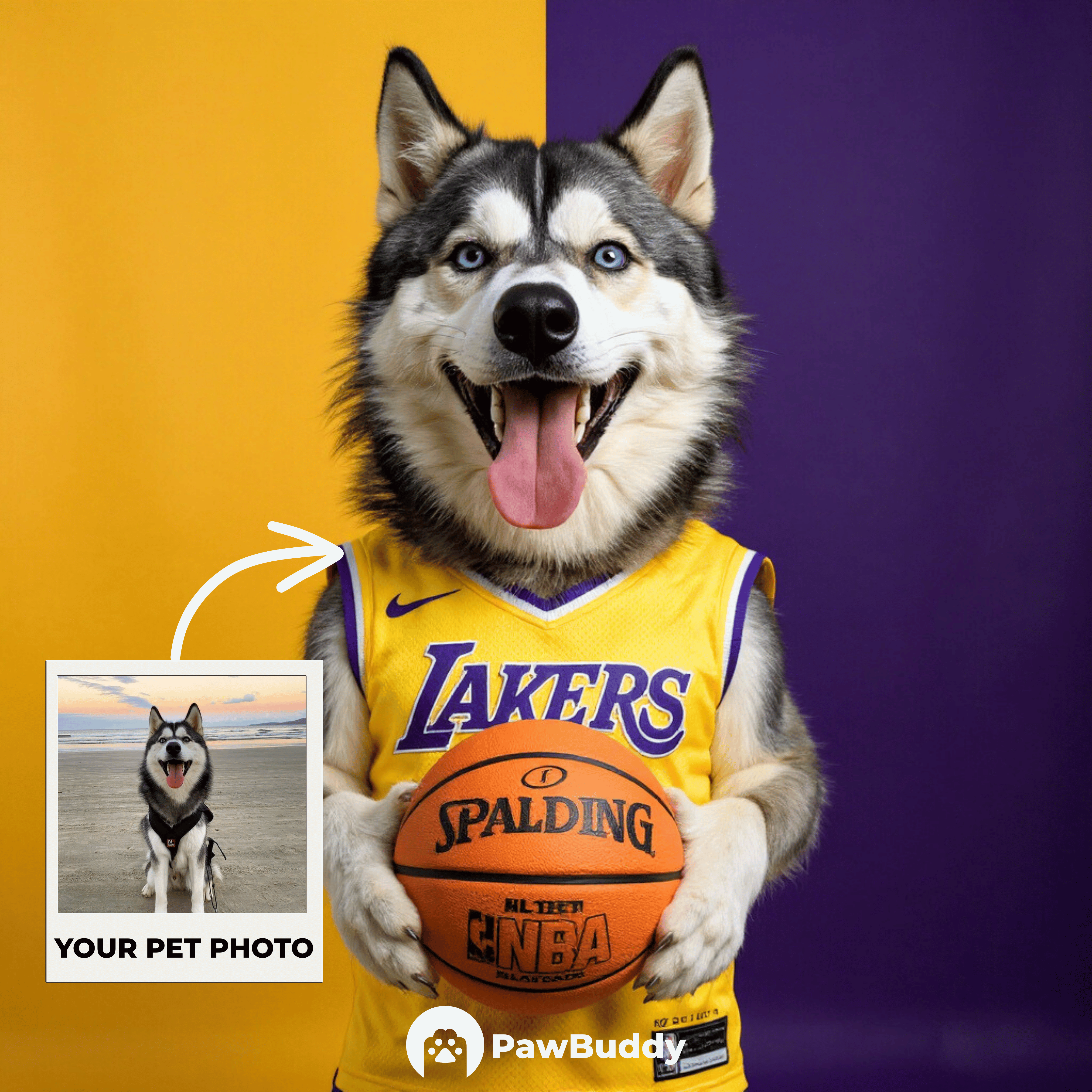 Custom Pet Portrait Golden Dynasty Basketball Style Digital Artwork – Personalized High-Resolution Artwork for Pet Lovers, Perfect for Online Sharing or as a Unique Sports-Themed Keepsake