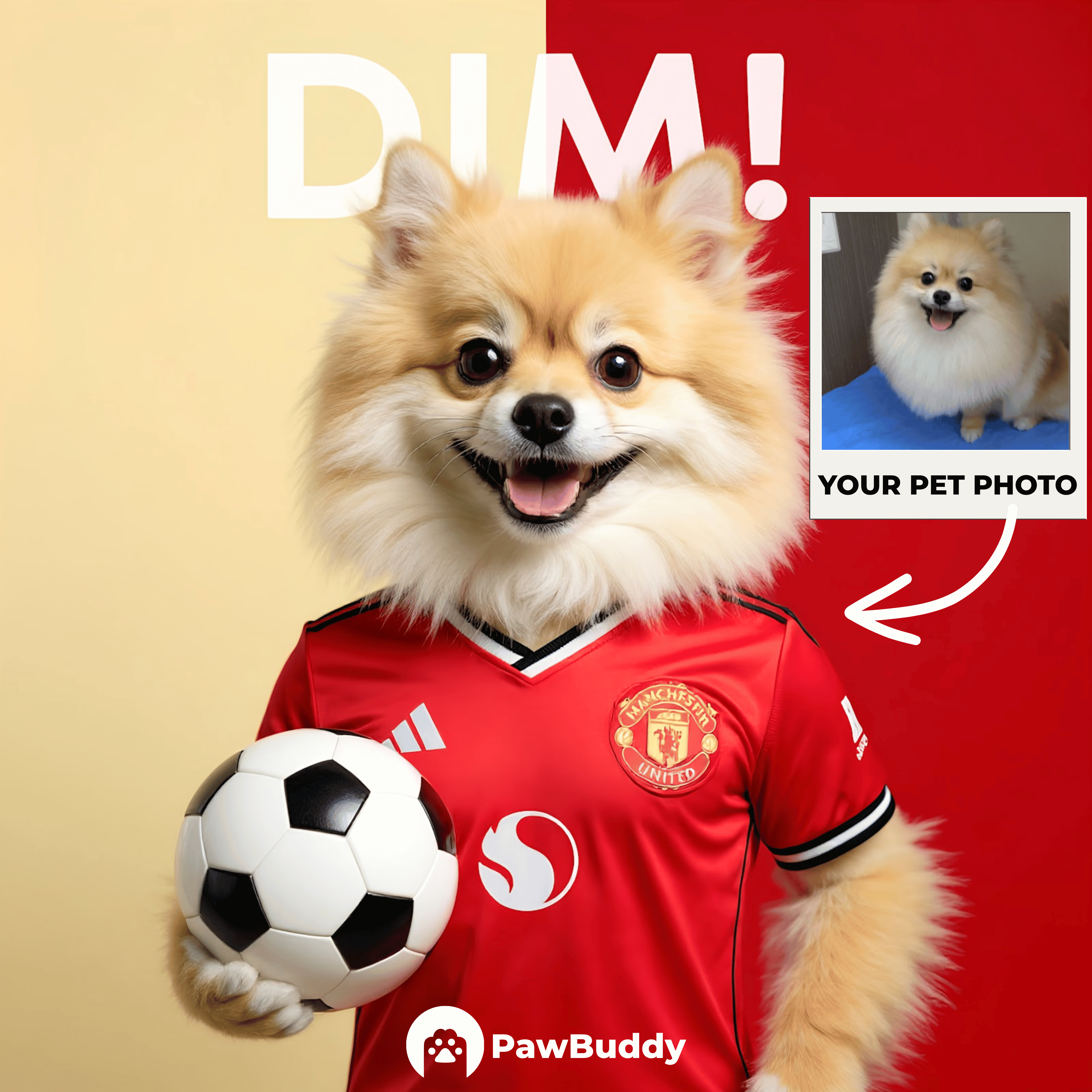 Custom Pet Portrait Crimson Glory Football Style Digital Artwork - Personalized High Resolution Artwork for Pet Lovers, Perfect for Online Sharing or as a Unique Sports Themed Keepsake