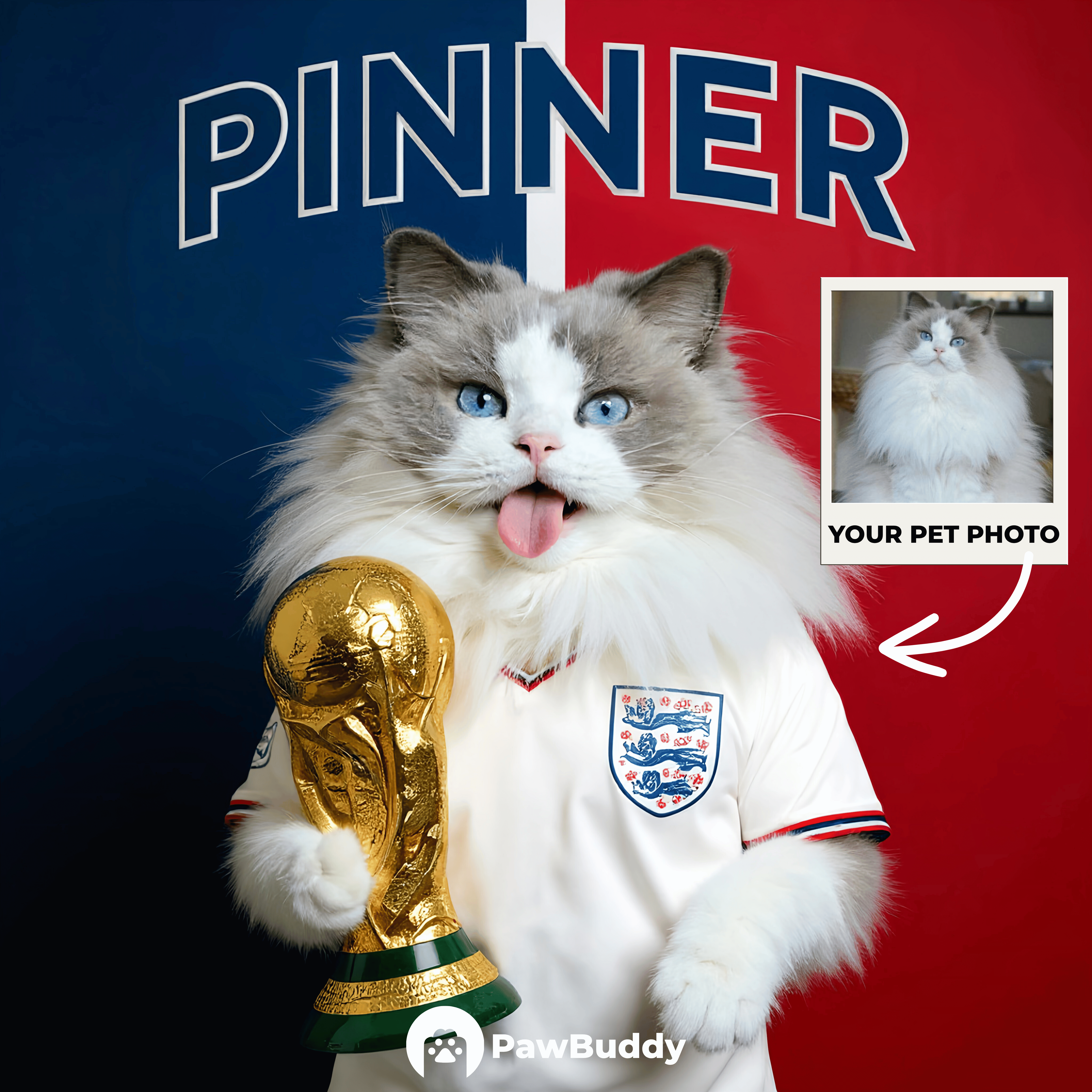 Custom Pet Portrait England Victory Football Style Digital Artwork - Personalized High-Resolution Artwork for Pet Lovers, Perfect for Online Sharing or as a Unique Sports Themed Keepsake