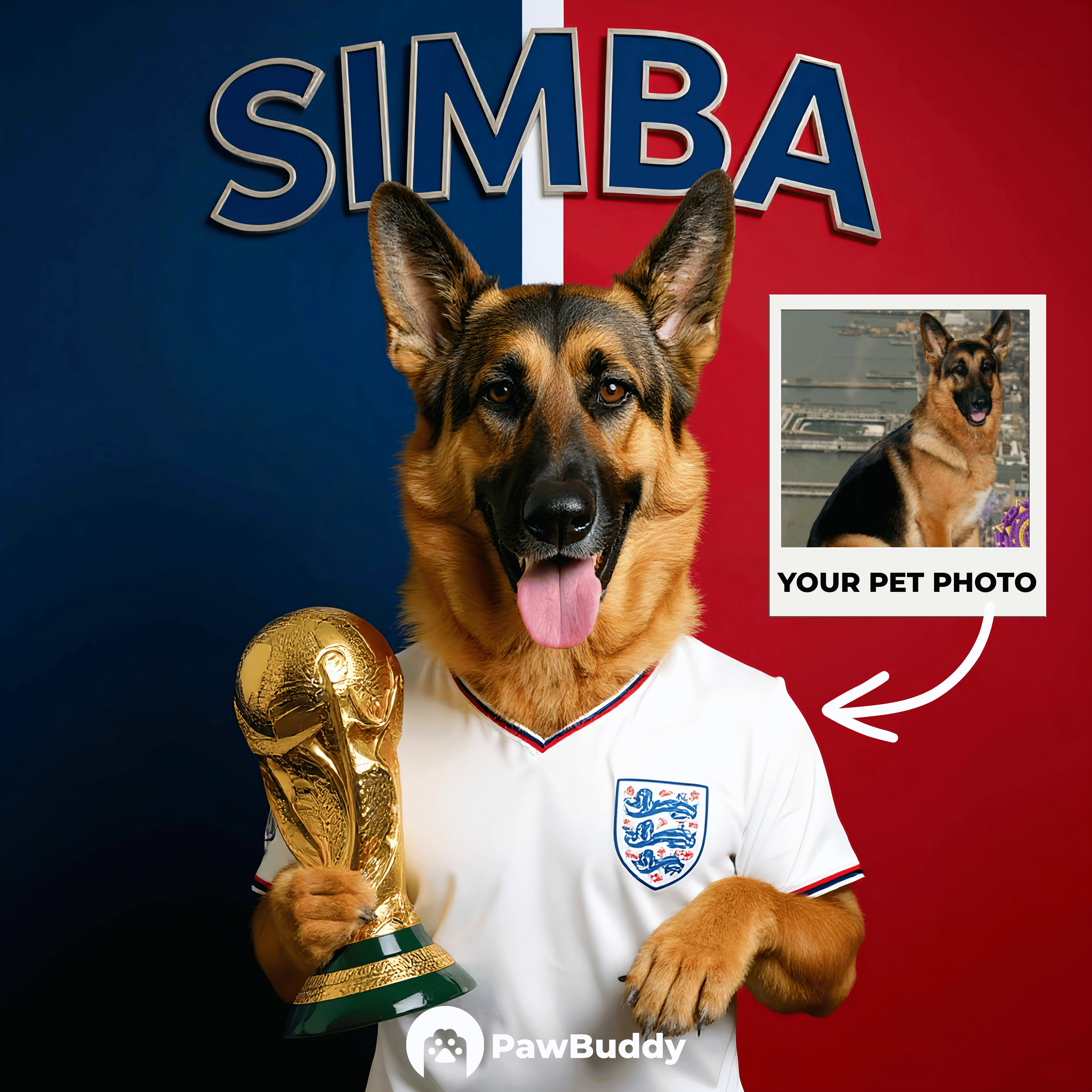 Custom Pet Portrait England Victory Football Style Digital Artwork - Personalized High-Resolution Artwork for Pet Lovers, Perfect for Online Sharing or as a Unique Sports Themed Keepsake