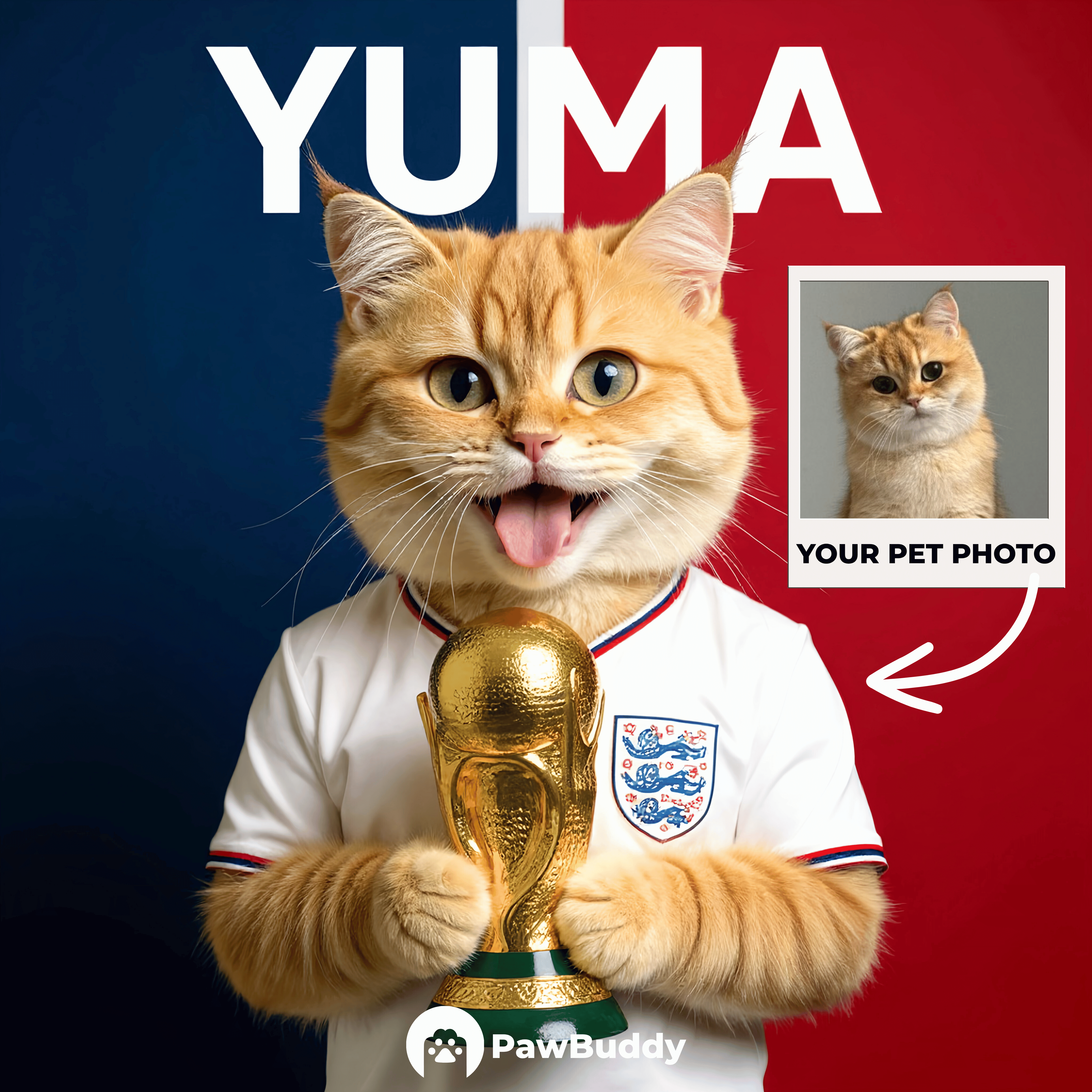 Custom Pet Portrait England Victory Football Style Digital Artwork - Personalized High-Resolution Artwork for Pet Lovers, Perfect for Online Sharing or as a Unique Sports Themed Keepsake