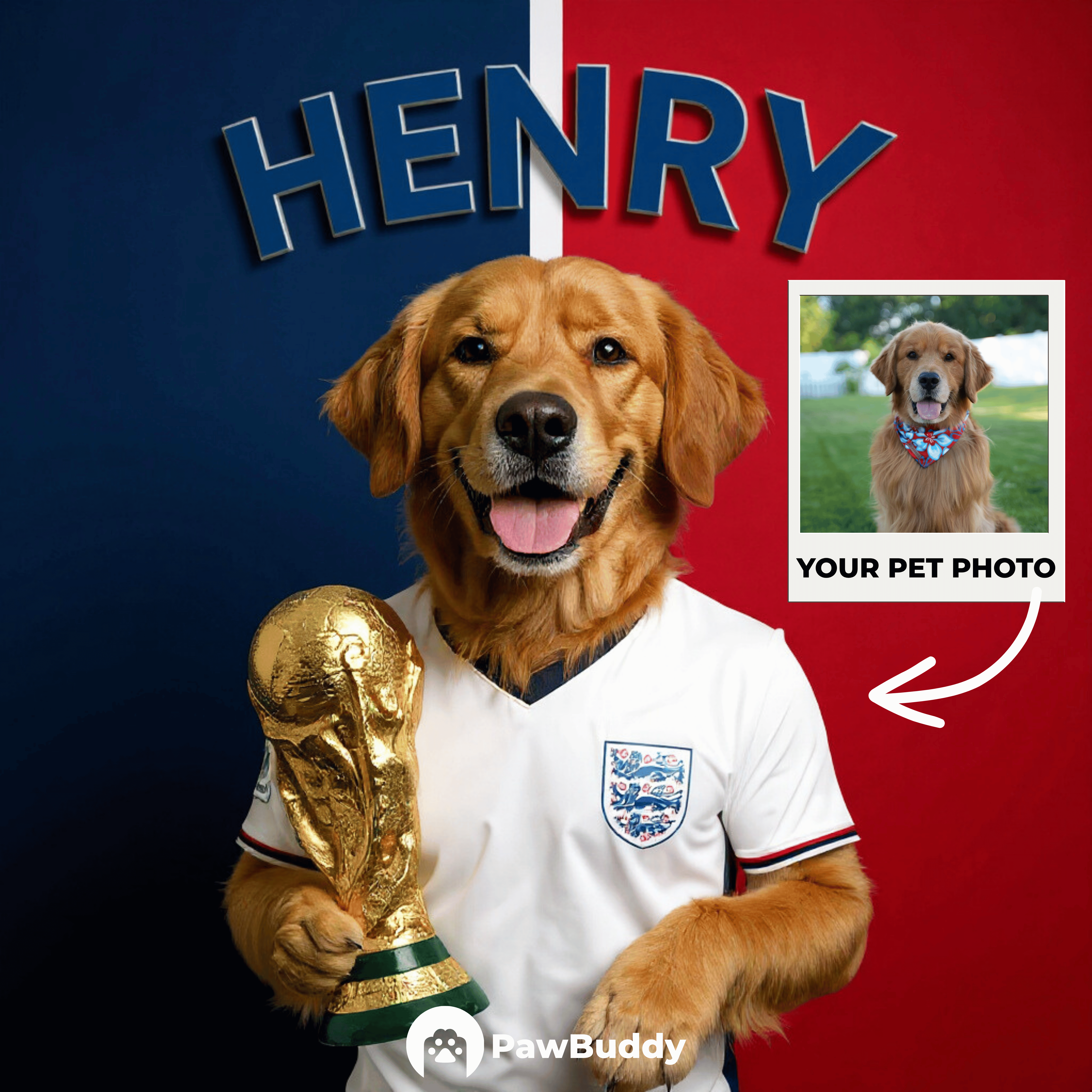Custom Pet Portrait England Victory Football Style Digital Artwork - Personalized High-Resolution Artwork for Pet Lovers, Perfect for Online Sharing or as a Unique Sports Themed Keepsake