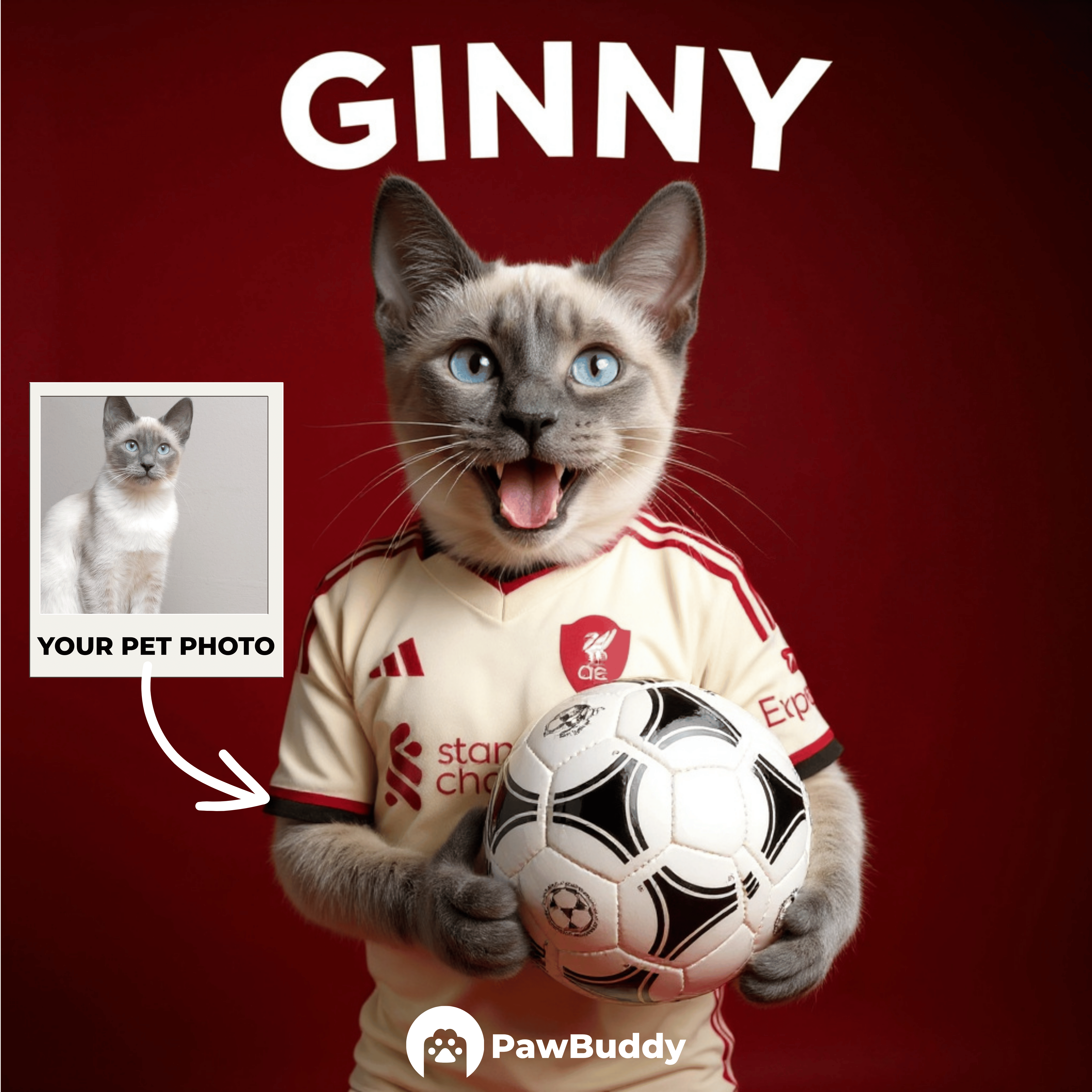 Custom Pet Portrait English Football Spirit Digital Artwork – Personalized High-Resolution Artwork for Pet Lovers, Perfect for Online Sharing or as a Unique Sports Keepsake