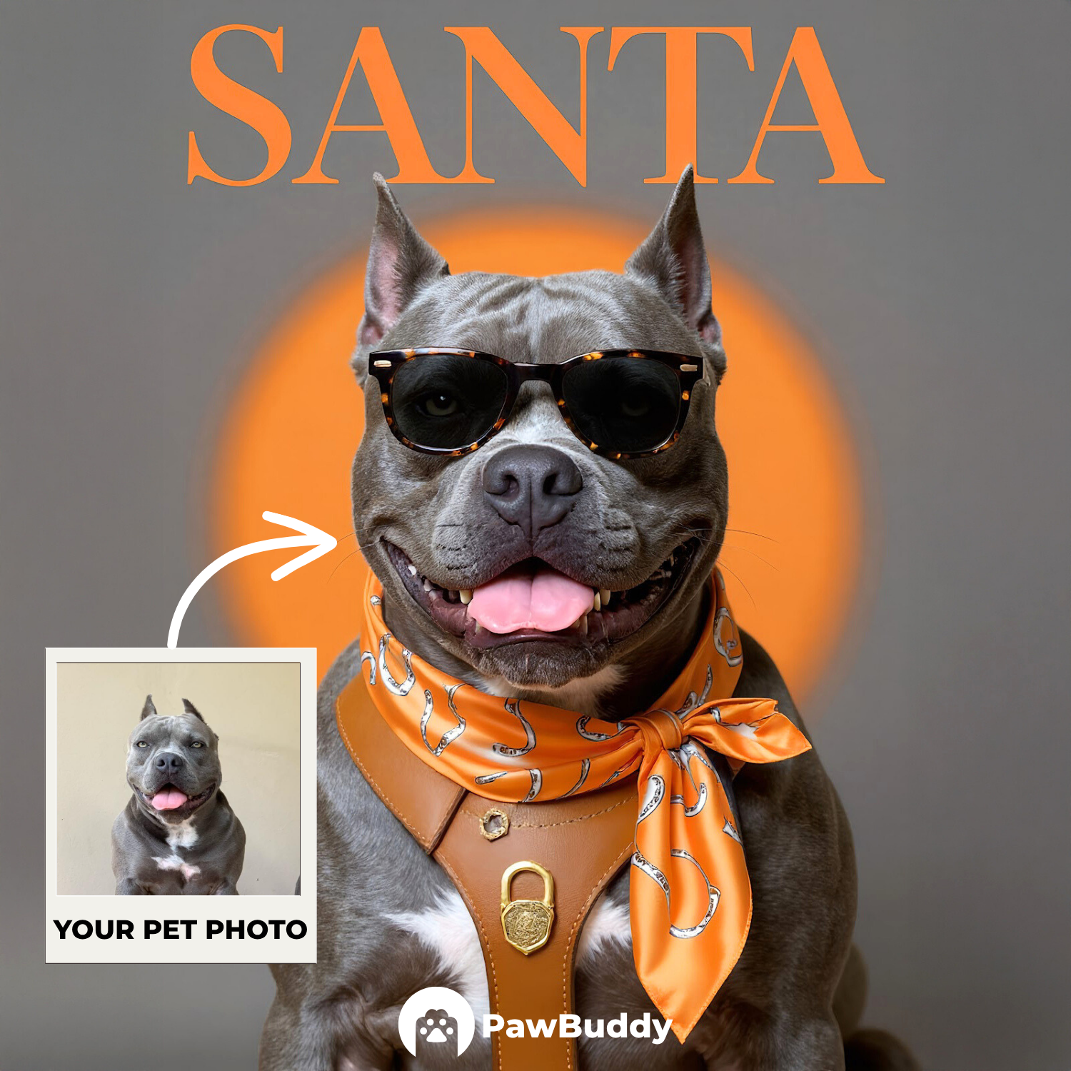 Custom Pet Portrait Fashionista Couture Digital Artwork – Personalized High-Resolution Artwork for Pet Lovers, Perfect for Online Sharing or as a Unique Luxury-Themed Keepsake
