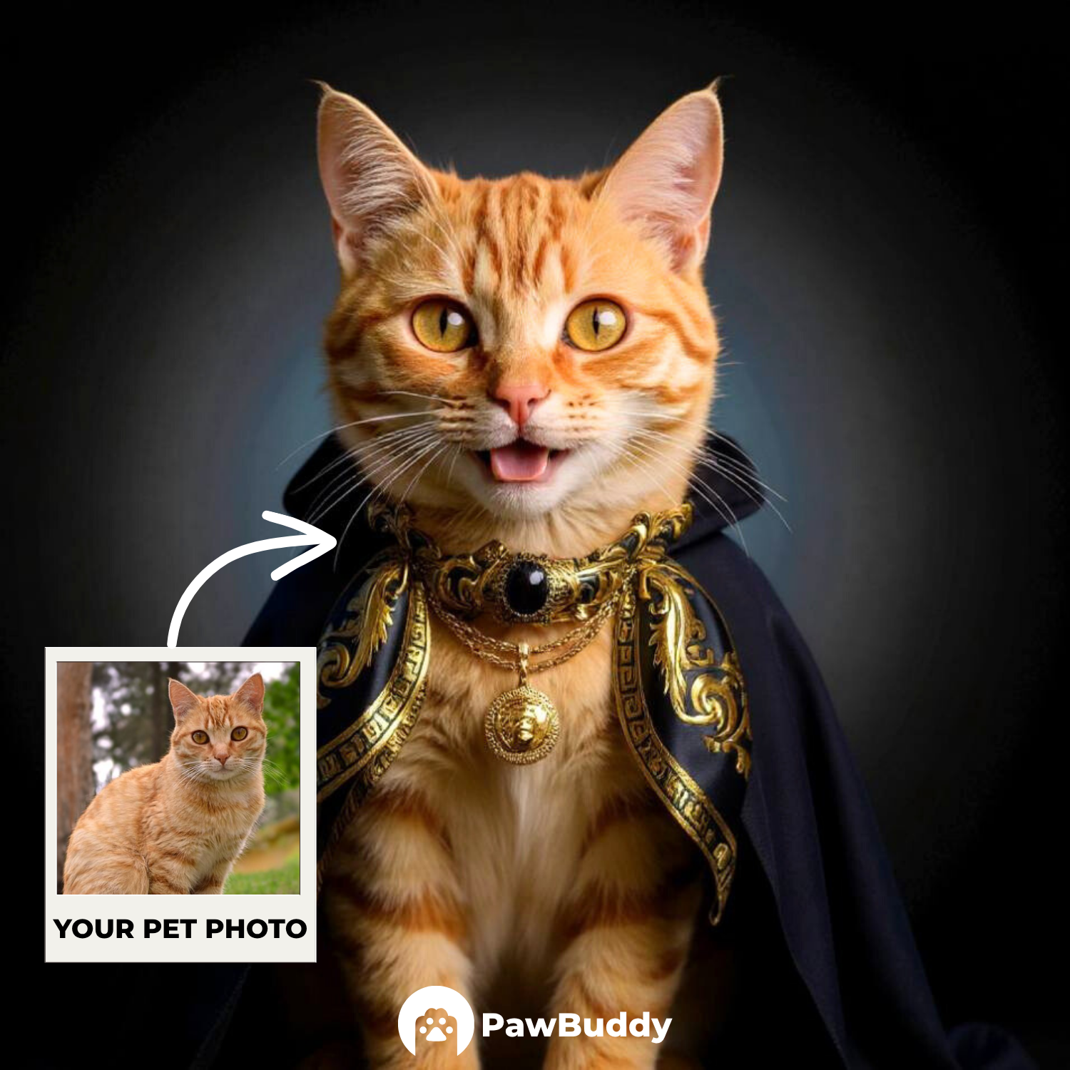 Custom Pet Portrait Fashionista Couture Digital Artwork – Personalized High-Resolution Artwork for Pet Lovers, Perfect for Online Sharing or as a Unique Luxury-Themed Keepsake