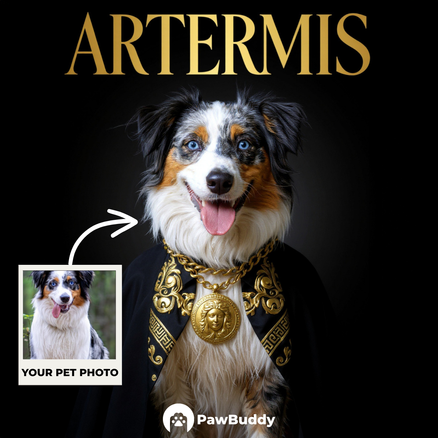 Custom Pet Portrait Fashionista Couture Digital Artwork – Personalized High-Resolution Artwork for Pet Lovers, Perfect for Online Sharing or as a Unique Luxury-Themed Keepsake