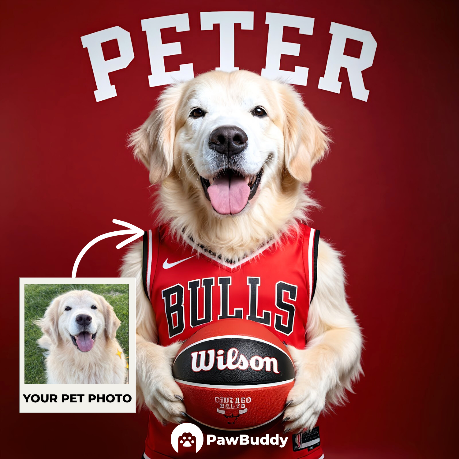 Custom Pet Portrait Basketball All-Star Digital Artwork - Personalized High-Resolution Artwork for Pet Lovers, Perfect for Online Sharing or as a Unique Sport-Themed Keepsake