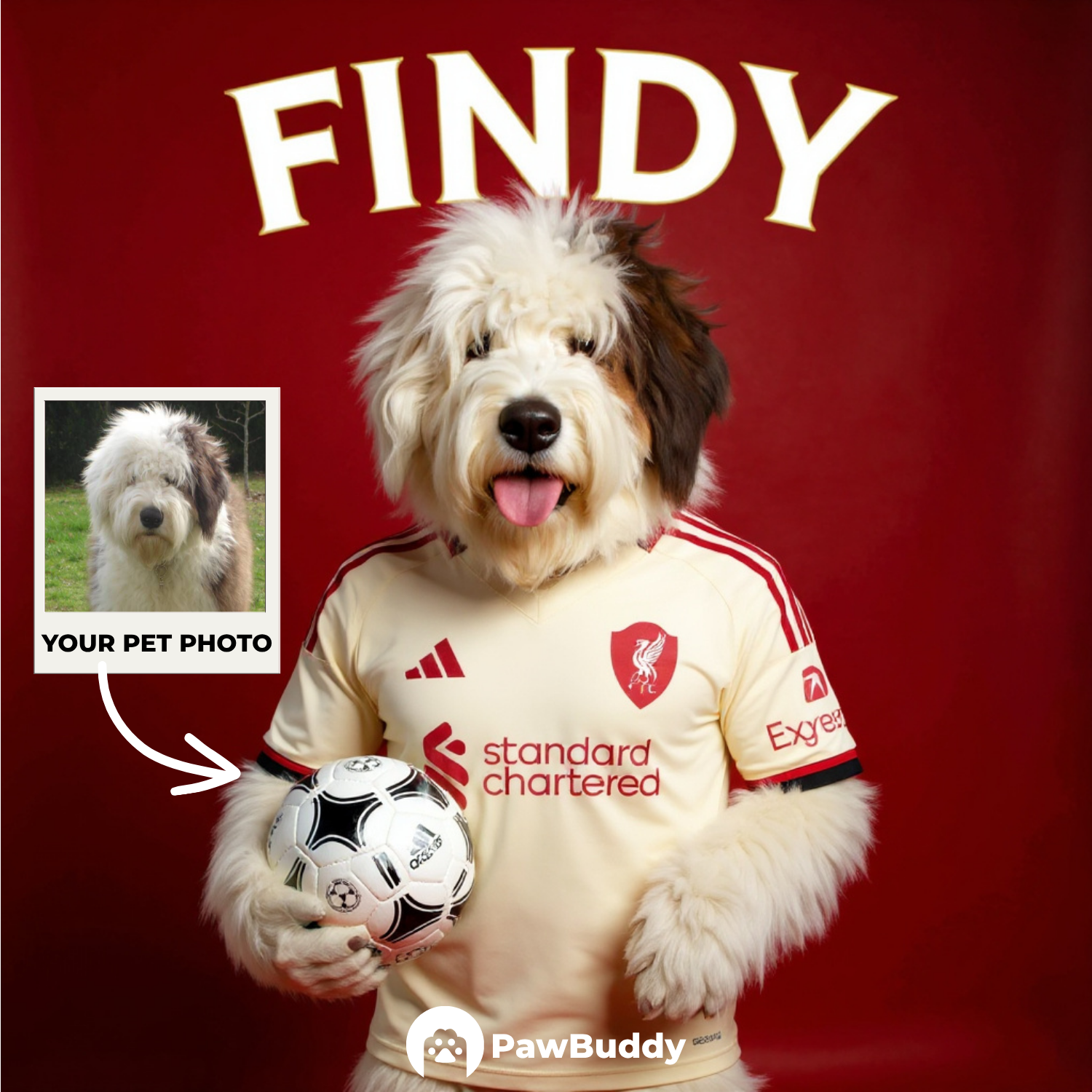 Custom Pet Portrait Soccer Superstar Digital Artwork - Personalized High-Resolution Artwork for Pet Lovers, Perfect for Online Sharing or as a Unique Sport-Themed Keepsake