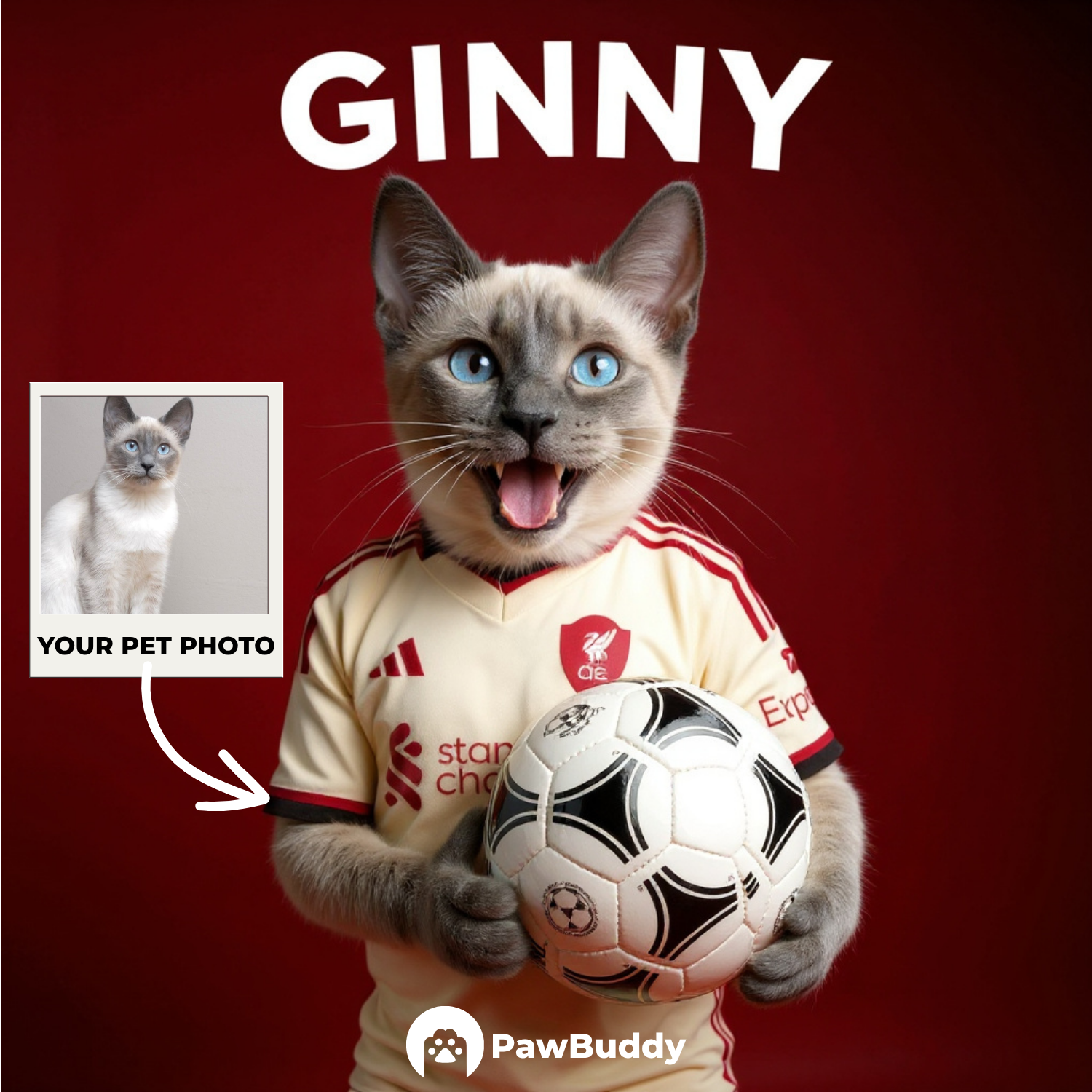 Custom Pet Portrait Soccer Superstar Digital Artwork - Personalized High-Resolution Artwork for Pet Lovers, Perfect for Online Sharing or as a Unique Sport-Themed Keepsake