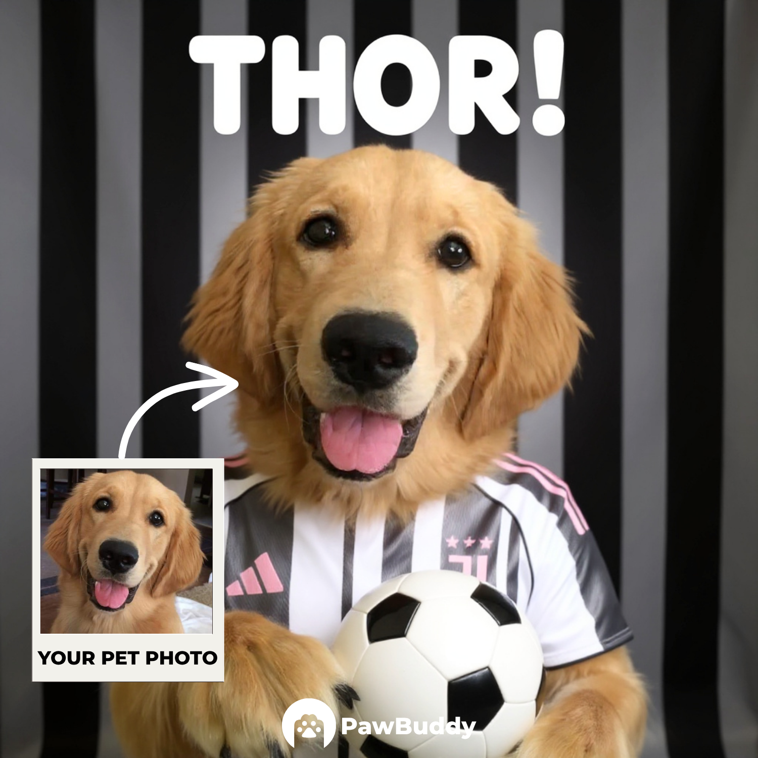 Custom Pet Portrait Soccer Superstar Digital Artwork - Personalized High-Resolution Artwork for Pet Lovers, Perfect for Online Sharing or as a Unique Sport-Themed Keepsake