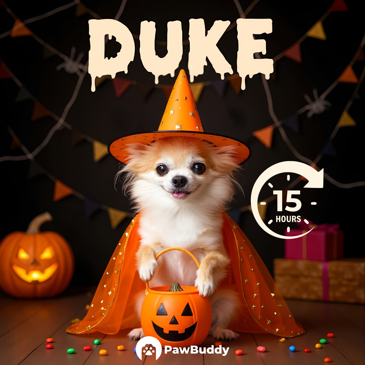 Custom Pet Portrait Trick-or-Treat Witch Halloween Style Digital Artwork - Personalized High-Resolution Artwork for Pet Lovers, Perfect for Online Sharing or as a Unique Spooky-Themed Keepsake