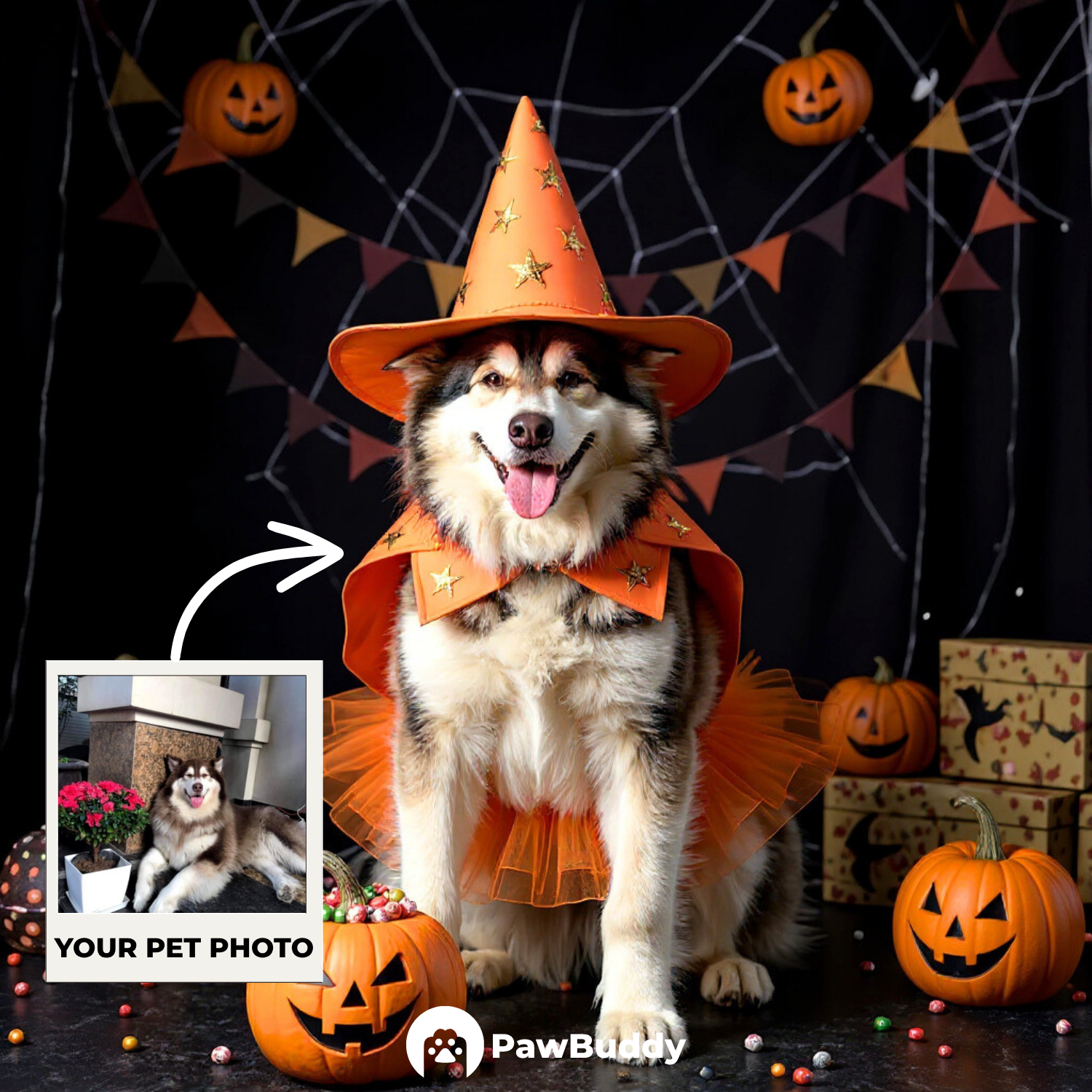 Custom Pet Portrait Trick-or-Treat Witch Halloween Style Digital Artwork - Personalized High-Resolution Artwork for Pet Lovers, Perfect for Online Sharing or as a Unique Spooky-Themed Keepsake