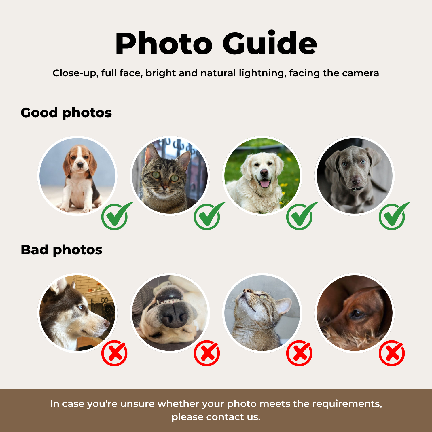 Custom Pet Portrait Action Hero Digital Artwork - Personalized High-Resolution Artwork for Pet Lovers, Perfect for Online Sharing or as a Unique Heroic-Themed Keepsake