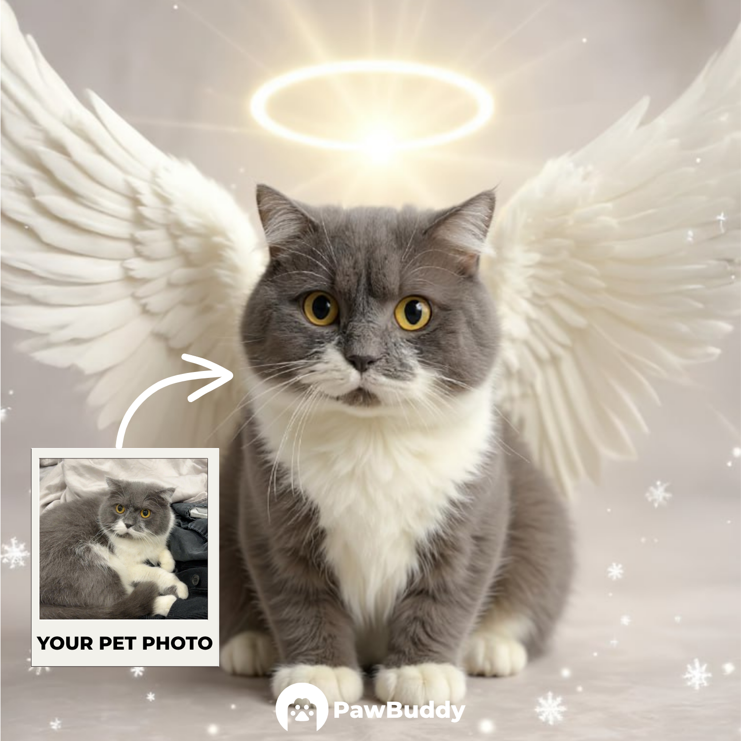 Custom Pet Portrait Golden Halo Angel Style Digital Artwork - Personalized High-Resolution Artwork for Pet Lovers, Perfect for Online Sharing or as a Unique Memorial Keepsake