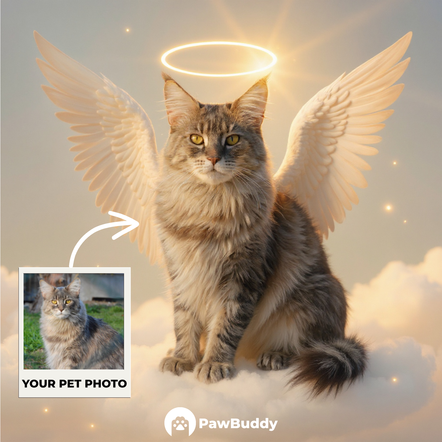 Custom Pet Portrait Golden Halo Angel Style Digital Artwork - Personalized High-Resolution Artwork for Pet Lovers, Perfect for Online Sharing or as a Unique Memorial Keepsake