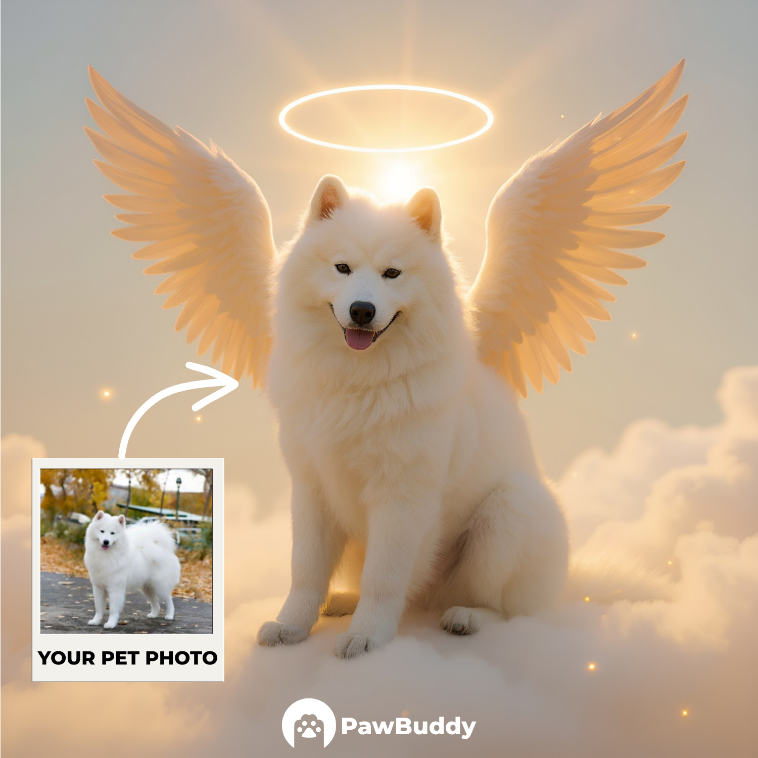 Custom Pet Portrait Golden Halo Angel Style Digital Artwork - Personalized High-Resolution Artwork for Pet Lovers, Perfect for Online Sharing or as a Unique Memorial Keepsake
