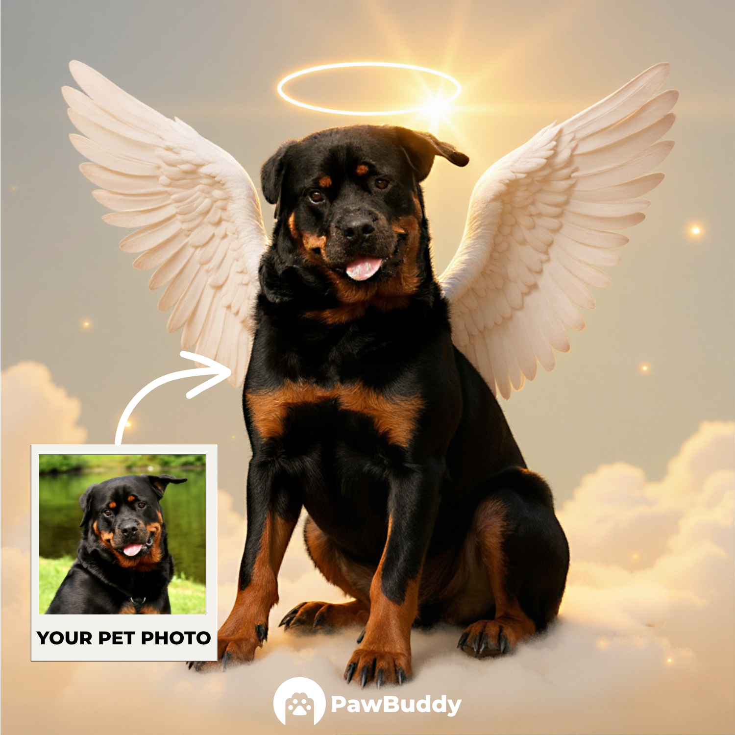 Custom Pet Portrait Golden Halo Angel Style Digital Artwork - Personalized High-Resolution Artwork for Pet Lovers, Perfect for Online Sharing or as a Unique Memorial Keepsake