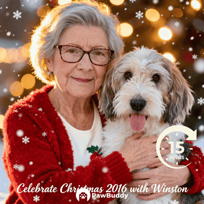 Custom Human & Pet Portrait Christmas Sparkle Moment Digital Artwork - Personalized High Resolution Artwork for Pet Lovers, Perfect for Online Sharing or as a Unique Holiday Keepsake
