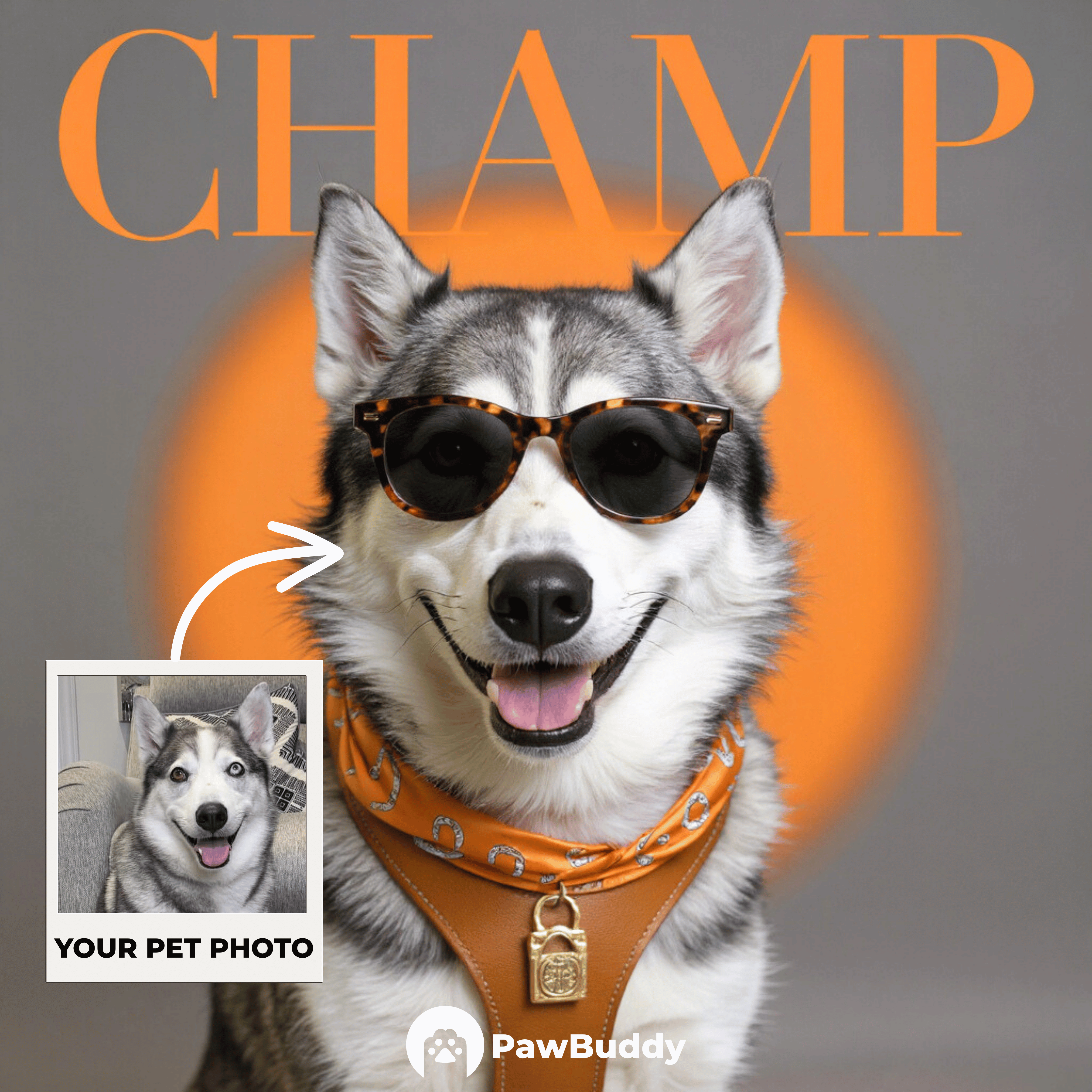 Custom Pet Portrait Equestrian Luxe Orange Elegance Digital Artwork – Personalized High-Resolution Artwork for Pet Lovers, Perfect for Online Sharing or as a Unique Fashion-Inspired Keepsake