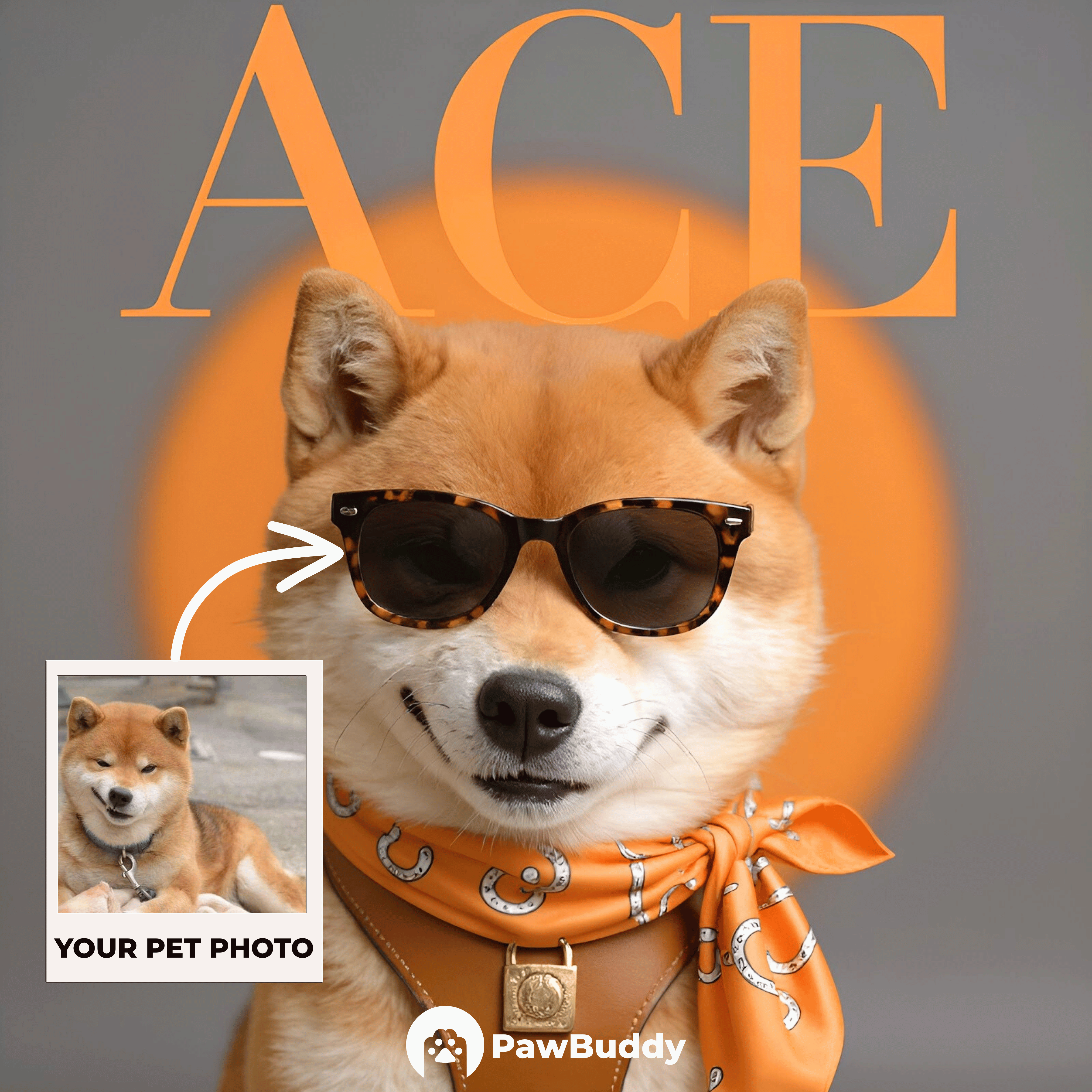 Custom Pet Portrait Equestrian Luxe Orange Elegance Digital Artwork – Personalized High-Resolution Artwork for Pet Lovers, Perfect for Online Sharing or as a Unique Fashion-Inspired Keepsake