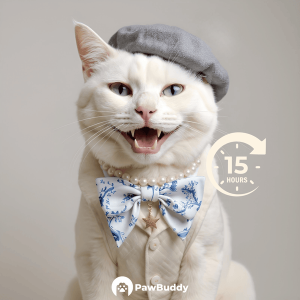 Custom Digital Art Parisian Blue Toile Couture Style Pet Portrait – Personalized High-Resolution Artwork for Pet Lovers, Perfect for Online Sharing or as a Unique Elegant Keepsake