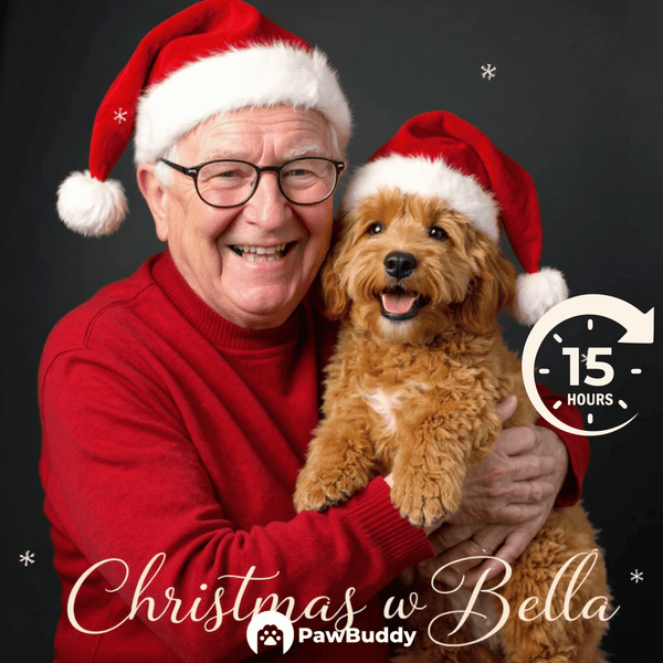 Custom Human & Pet Portrait Christmas Joyful Digital Artwork - Personalized High-Resolution Artwork for Pet Lovers, Perfect for Online Sharing or as a Unique Holiday Keepsake