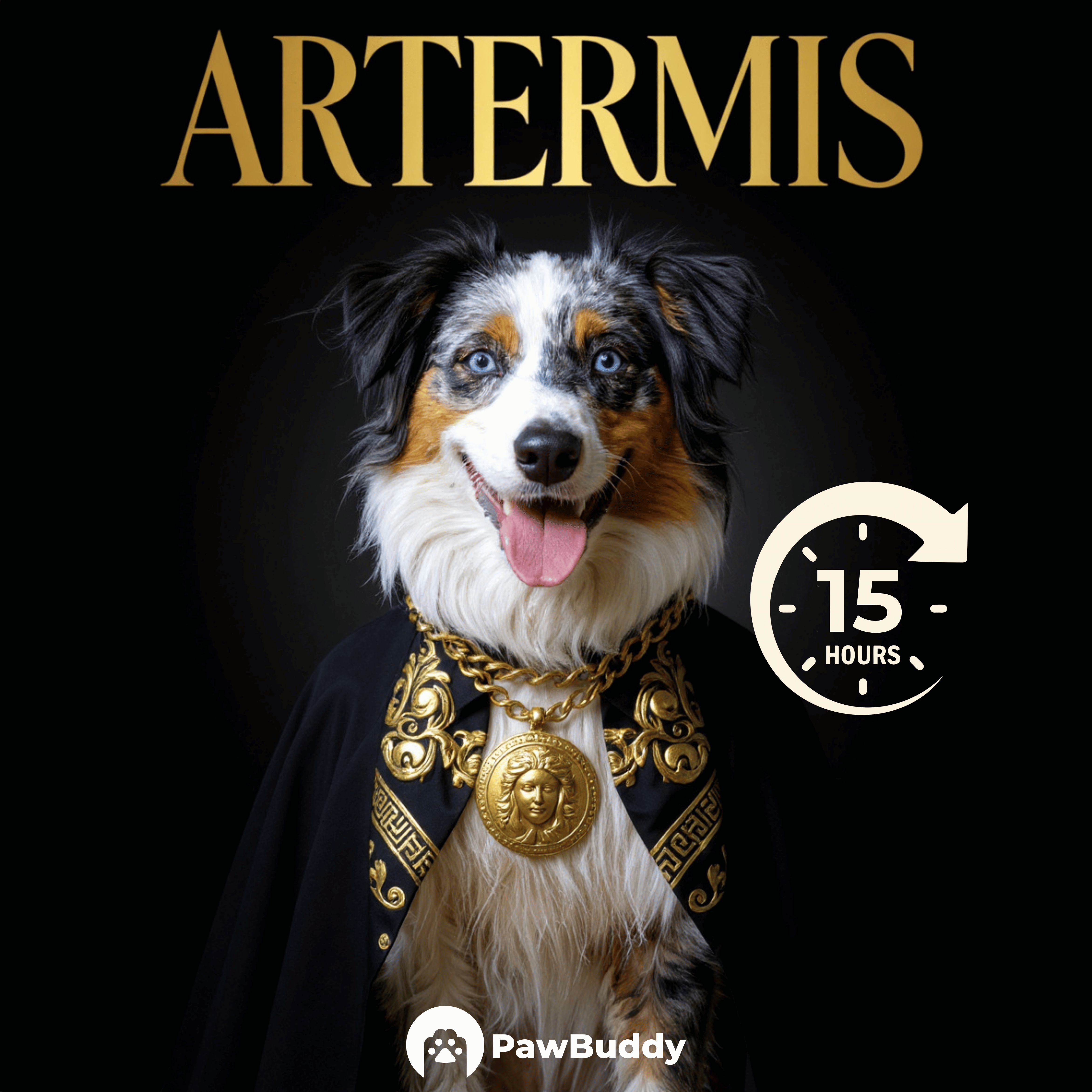 Custom Pet Portrait Baroque Gold Couture Style Digital Artwork – Personalized High-Resolution Artwork for Pet Lovers, Perfect for Online Sharing or as a Unique Luxury Keepsake