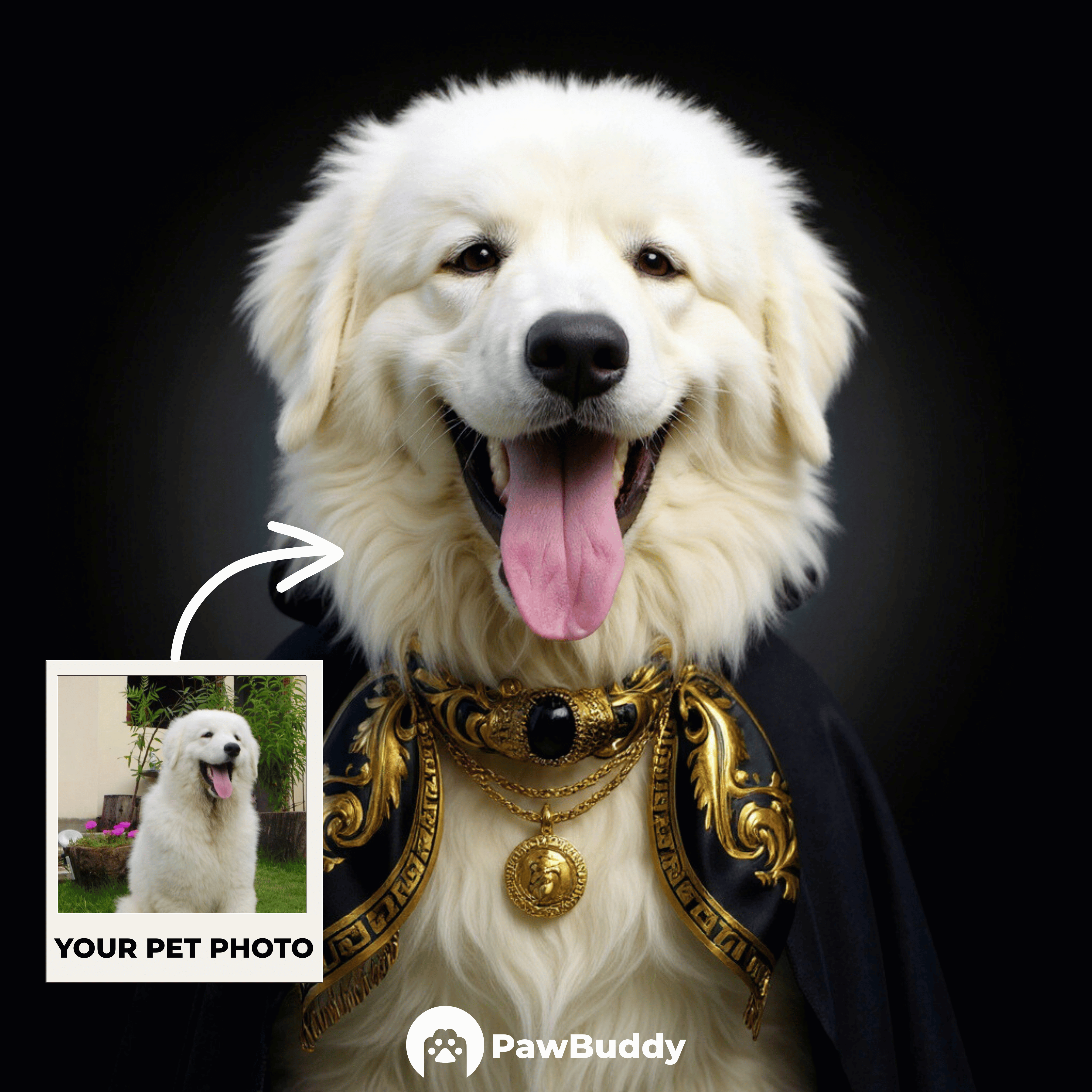 Custom Pet Portrait Baroque Gold Couture Style Digital Artwork – Personalized High-Resolution Artwork for Pet Lovers, Perfect for Online Sharing or as a Unique Luxury Keepsake