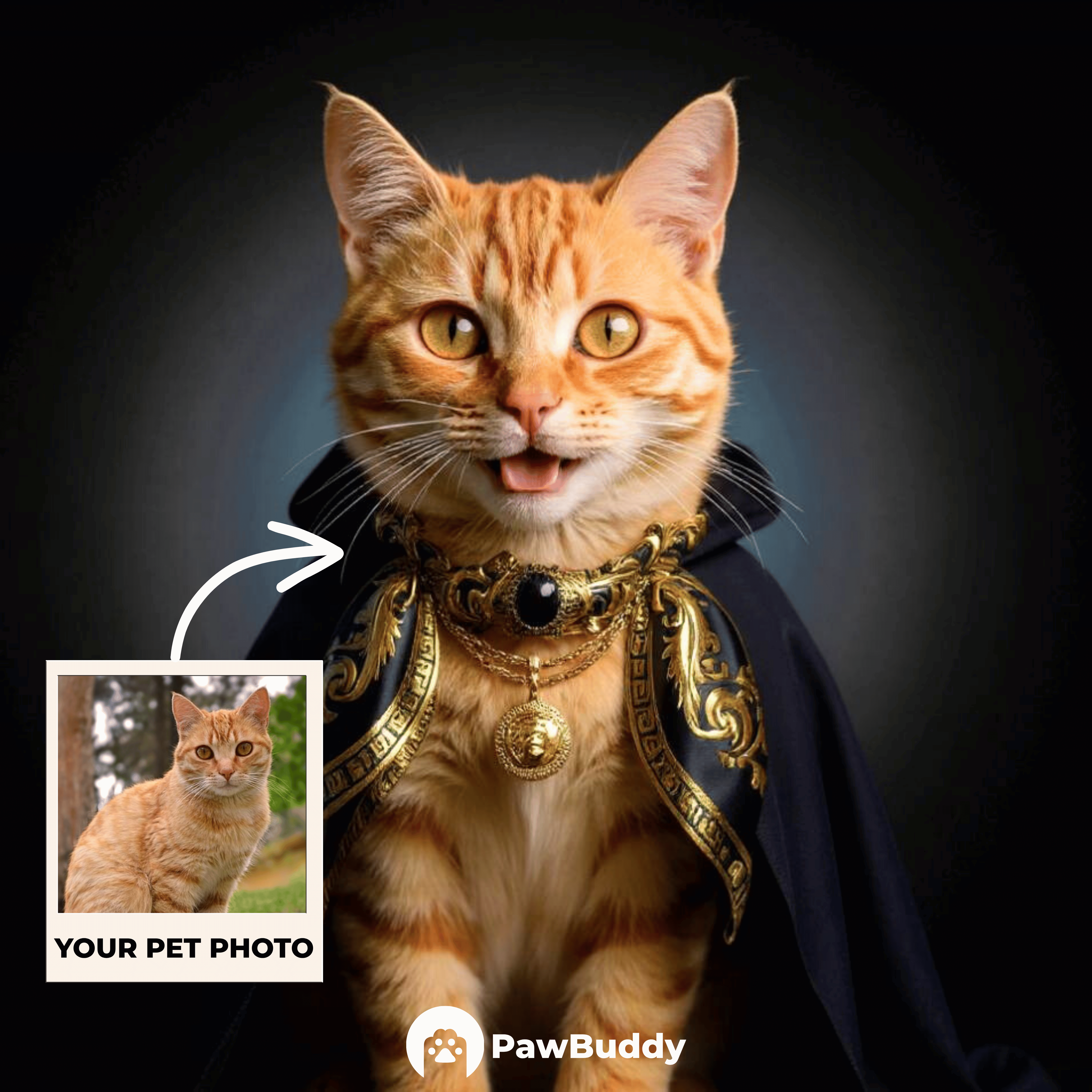 Custom Pet Portrait Baroque Gold Couture Style Digital Artwork – Personalized High-Resolution Artwork for Pet Lovers, Perfect for Online Sharing or as a Unique Luxury Keepsake